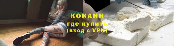мдпв Козловка