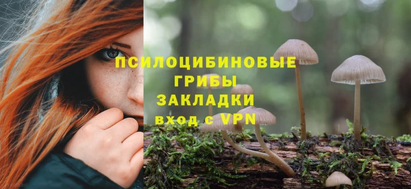 мдпв Козловка