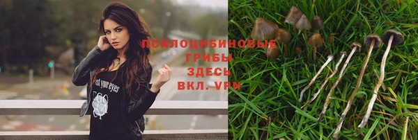 мдпв Козловка